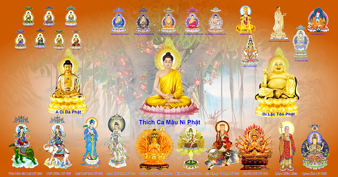 Các Phật trong Phật giáo: Hành trình giác ngộ và cứu độ